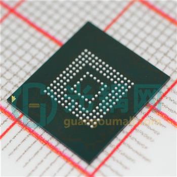 SDINBDG4-8G-XI1的产品图片