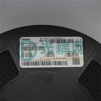 SLB9635TT1.2FW3.17的产品图片